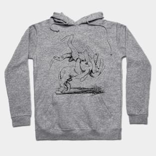 rabbit throw Hoodie